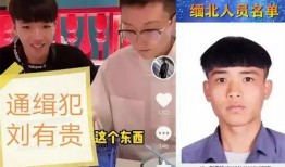 柬埔寨小六最新爆料信息,揭秘神秘事件背后的惊人真相